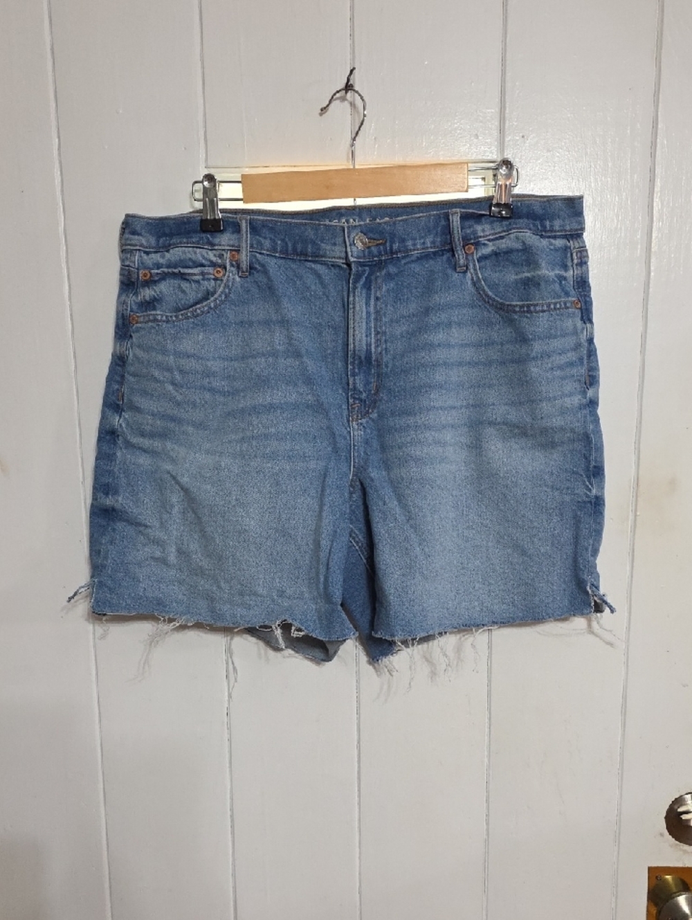 American Eagle Strigid Relaxed Shorts Women's Denim Raw Hem Sz 16 GUC